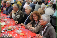 IMG_4152-arambn