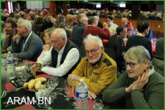 IMG_4160-arambn