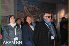 IMG_3956-arambn
