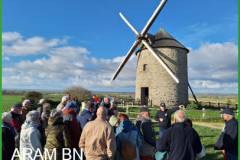 20250329_084737-arambn