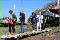 IMG_4870-arambn