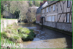 IMG_4105-arambn
