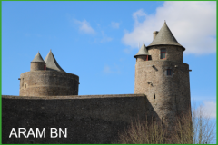 IMG_4129-arambn